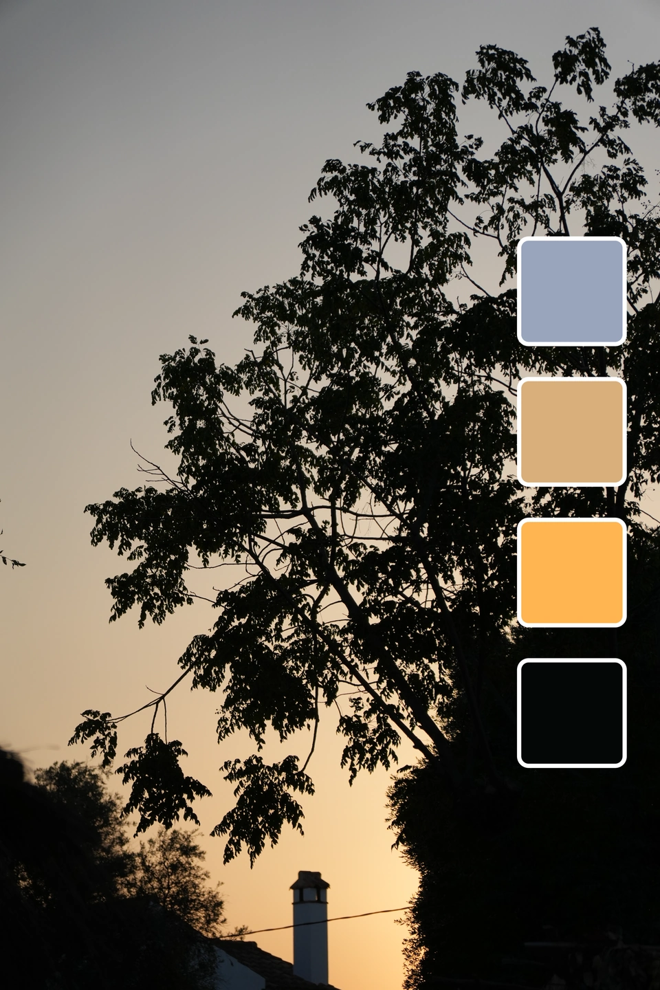 Carrusel de colores de Zaraho: Silueta de un árbol y cielo al atardecer, con las cuatro últimas muestras de color.